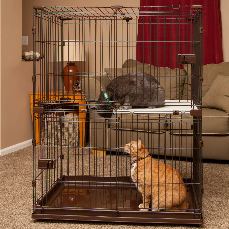 Tucker Murphy™ Pet Reyna Animal Wire Cat Cage with Portable & Reviews
